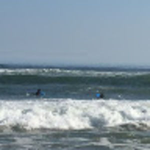 Meet your Posher, Dylan